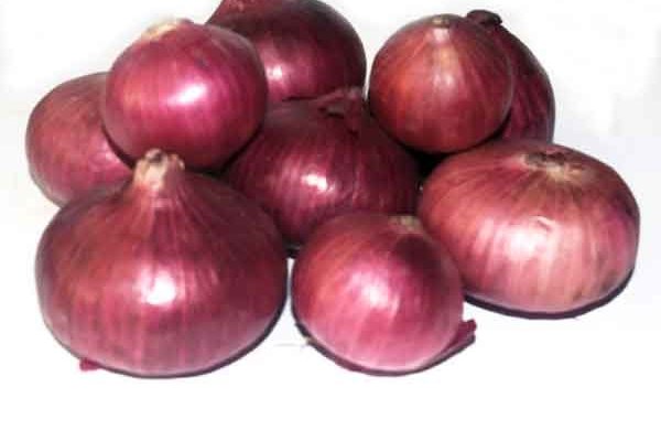 Kraken tor onion