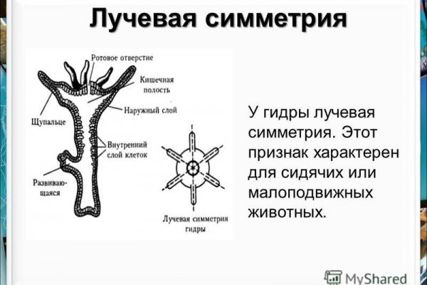 Кракен шоп это